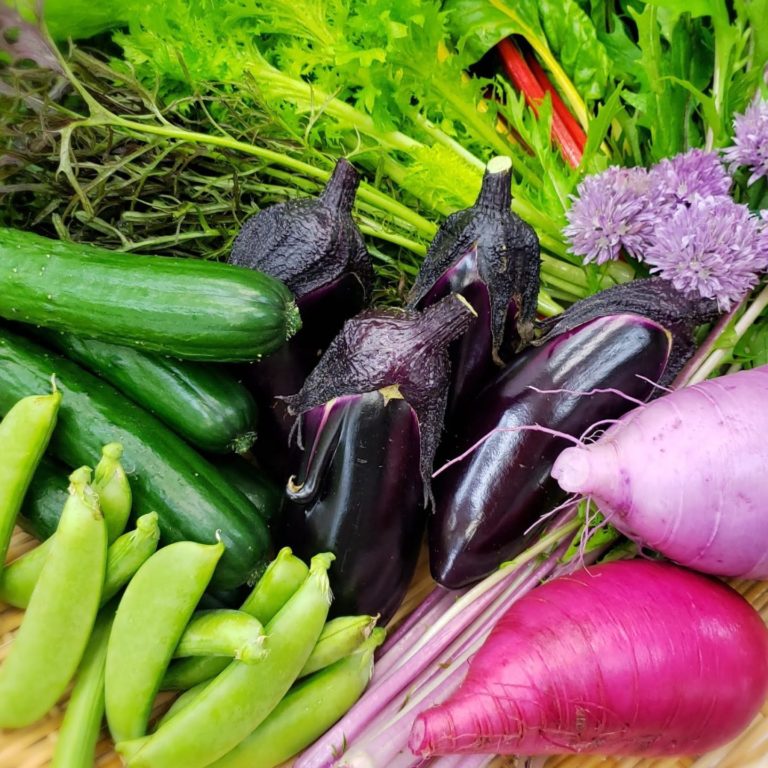 季節のカラフル野菜